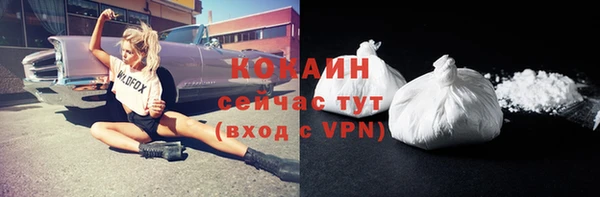 прущие грибы Армянск
