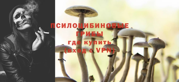 ECSTASY Богданович