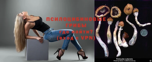 кокс Арсеньев