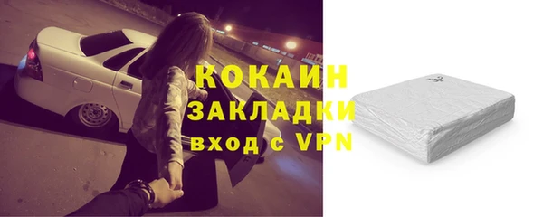 ECSTASY Богданович