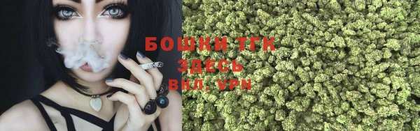 кокс Арсеньев