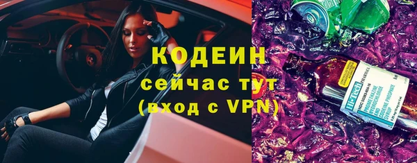 хмурый Богородск