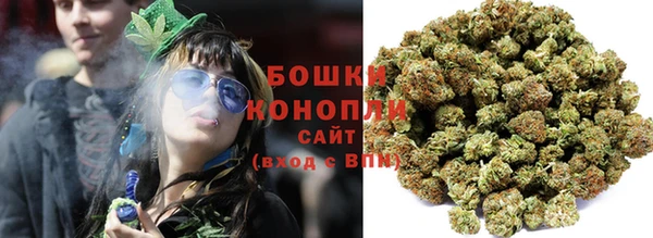 ECSTASY Богданович