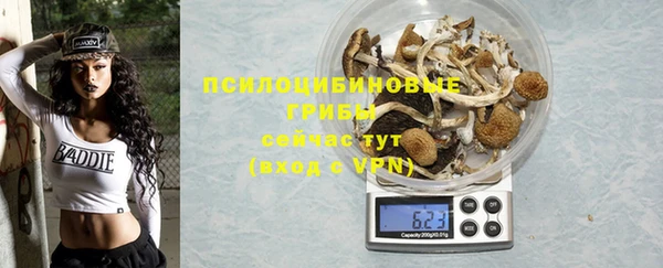 ECSTASY Богданович